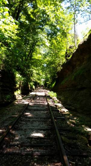 13442297_10154186968063936_1463512802413831987_n