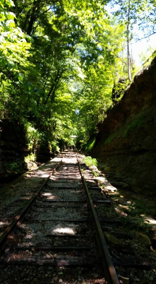 13442297_10154186968063936_1463512802413831987_n